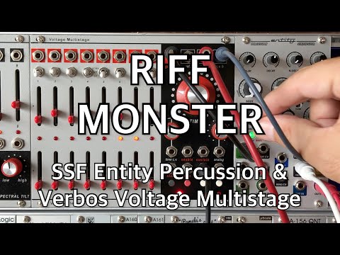 Entity Percussion Synthesizer – Steady State Fate